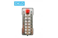 China 14-way switch industrial remote control supplier