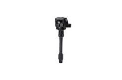 China Beru Denso Delphi Agent Factory Auto Car Ignition Coil supplier