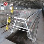 Anti Corrosion 4 Tiers Baby Chick Cage With Wire Nipple Drinker for sale