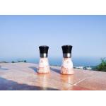 Salt Pepper Grinder with 80ml Transparent Glass Condiment Bottle and Adjustable Head for sale