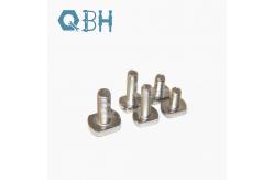 China Qbh SS304 Non-Standard Tee T Head Bolt supplier
