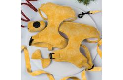 China Comfortable Yellow Leash Collar Harness Set Neoprene Puppy Collar And Lead Set supplier