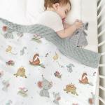 Soft Custom Baby Blankets 100% Polyester Multifunctional Blanket For Unisex Boys Girls for sale