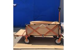 China Adjustable Handle Collapsible Wagon Cart Collapsible Pull Along Trolley On Wheels supplier