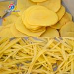2.25KW Two End Cutter Vegetable Processing Machine Cube Slice Strip Industrial