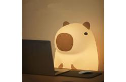 China Non-Toxic Platinum Silicone LED Night Light for Office and School supplier