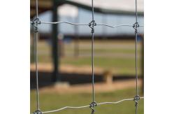 China Hot Dip Galvanized Fixed Knot Wire Fence 8ft Deer Wire Mesh supplier