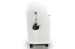 China 20% off discount price  750W 10L High Concentration Oxygen Concentrator 220v supplier