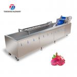 SS Fruit Bubble Washing Machine Commercial Vegetable Cleaning Equipment for sale