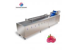 China SS Fruit Bubble Washing Machine Commercial Vegetable Cleaning Equipment supplier
