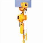 High Quality Pendent Line Control Running Electric Chain Hoist for factory and shop for sale