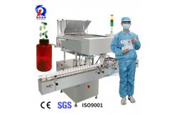 China Electronic Capsule Counting Machine Counter Fully Automatic Easy To Operate supplier