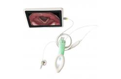 China Video 1.5# Double Lumen Laryngeal Mask Airway For Emergency Department supplier