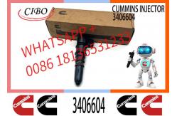 China PT Injector 3095773 3406604 3016676 3411821 3064881 3054218 3018566 supplier