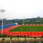 Non Toxic 13mm Thick Eco Sports Flooring Synthetic Athletic Track for sale