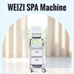Anti Radical Hydrogen Water Bath Generator WEIZI DC12V For Hydrogen SPA for sale