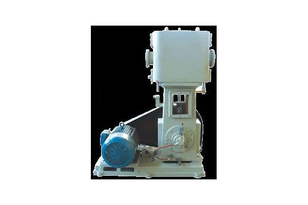 WLW vertical oilless vacuum pump