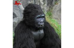 China Animatronic Gorilla Suit Realistic Gorilla Costume Adult Age supplier