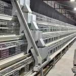 Poultry Farm Layer Chickens Battery Cages Automatic Layer Poultry Cage With Feeder And Drinker for sale