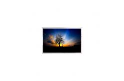 China LS012B7DH02 1.2 inch 240*240 LCD Screen Panel for Round Display supplier