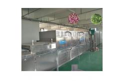 China Continuous Working Insects Dryer Tunnel Microwave Drying Machine supplier