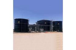 China Bio Digester Biogas Production Project Bio Gas Plant Installation supplier