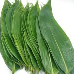 Natural Big Size Sushi Food Decoration Bamboo Leaves 7-11cm for sale