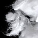 Skin Friendly Environmental Protection Lyocell Staple Fiber Raw White for sale