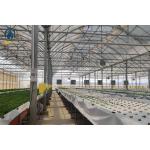 Outdoor Commercial Farming Agriculture Metal Frame Multi Span Large Plastic Greenhouse for sale