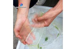China 1500KG/H Commercial bulk aloe Vera peeling machine Aloe processing peeling machine supplier