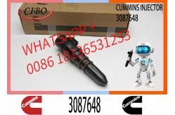 China Remanufactured High Quality Common Rail Diesel Fuel Injector 3087648 3406604 supplier