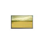 21.5 Inch M215HJK-L3B LCD Screen Panel 1920*1080 LCD Display for sale