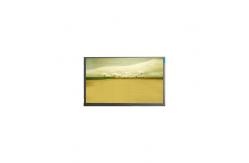China 21.5 Inch M215HJK-L3B LCD Screen Panel 1920*1080 LCD Display supplier