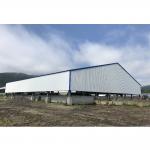 Industrial Shed Design Q345 Steel Frame Warehouse Construction Prefabricated Building Big for sale