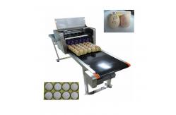 China High Resolution Batch And Date Coding Inkjet Printer For Whole Plate Eggs supplier