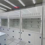 Reliable Polypropylene Chemical Fume Hood Lab Stink Cupboard ≤60dB Noise 400m3/h Airflow