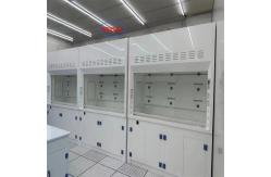 China Microcomputer Control System Chemical Fume Hood  Pp Ventilation Cabinet for Efficient Operation supplier