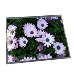 12.1 inch HSD121KXN1-A10 1024*768 high resolution lcd panel for Automotive Display for sale
