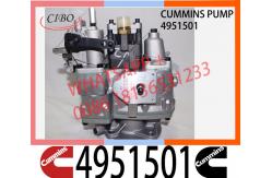 China Cummins NT855 NTA855 Fuel Pump 4951501 3019487 560659 3019488 supplier
