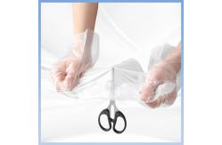 China Tear Resistant Clear Plastic Transparent Disposable Gloves PE Polythene Gloves supplier