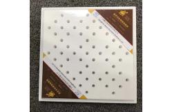 China PVC Laminated Plasterboard Gypsum Ceiling Tile Plain Perforated 15mm Thickness supplier