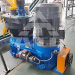 Biomass Briquette Pressing Biomass Wood Pellet Making Machine for sale