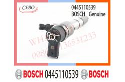 China 0445110538 0445110539 Bosch Fuel Injector CN1-9K546-A1 For Jmc Engine supplier