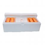 High Strength EPS Double Nuc Boxes Polystyrene Two Bee Queen Rearing Mating Nucs