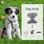 Breathable Dog Collar Harness And Leash Set Printed Customized Harness Leash Set