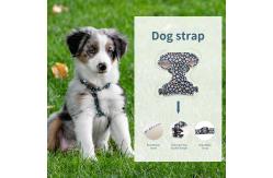 China Breathable Dog Collar Harness And Leash Set Printed Customized Harness Leash Set supplier