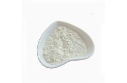 China Juice & Wine Cellulase Enzyme Powder Enzyme Preparation Sample Testing supplier