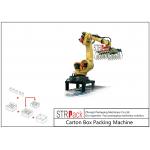 Automatic Carton Robot Palletising System For Industry Food Chemistry Stacking for sale