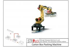 China Automatic Carton Robot Palletising System For Industry Food Chemistry Stacking supplier