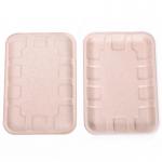 Biodegradable Bagasse Sugarcane Food Tray Fruits Vegetables Disposable Party Tray for sale